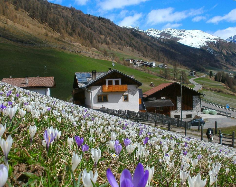 Padoellhof Villa Curon Venosta Eksteriør bilde